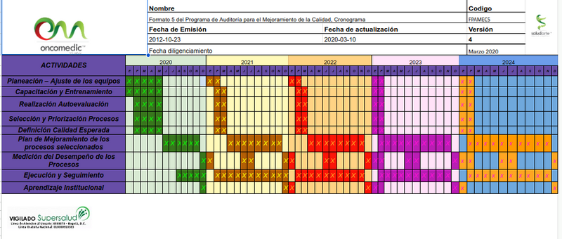 Archivo:Cronograma PAMEC.png