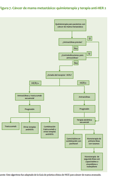 Archivo:Guia mam6.png