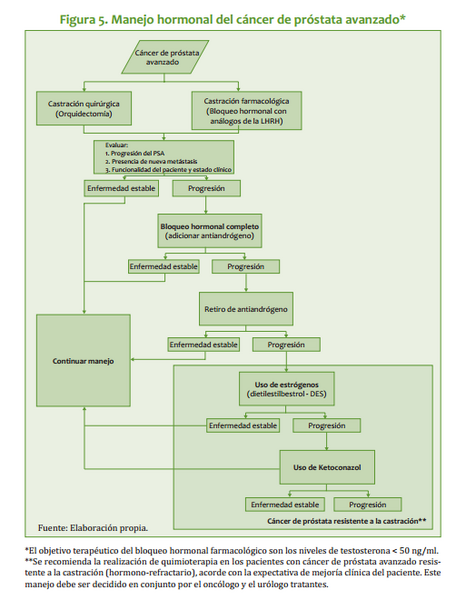 Archivo:Algo Pros4.png