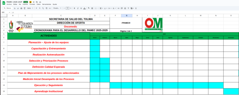 Archivo:Cronograma PAMEC 2025.png