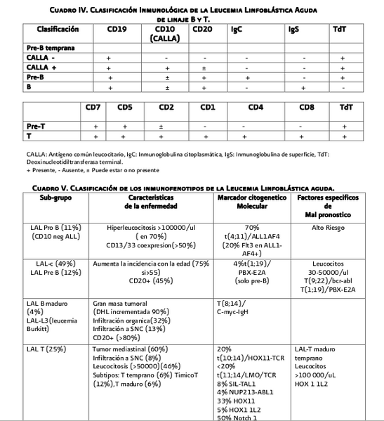 Archivo:Algo LLA4.png