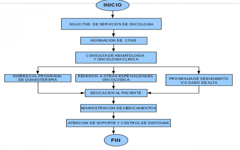 Archivo:Diag proc Enf.jpg