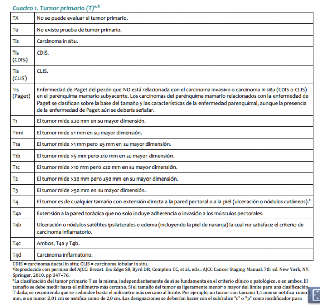 Archivo:TNM mama.png