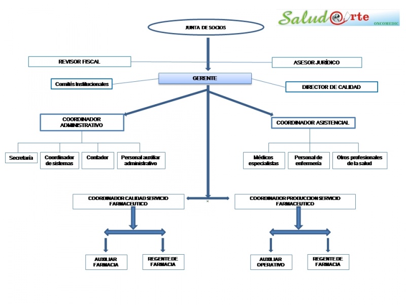 Archivo:Organigrama Oncomedic New.JPG