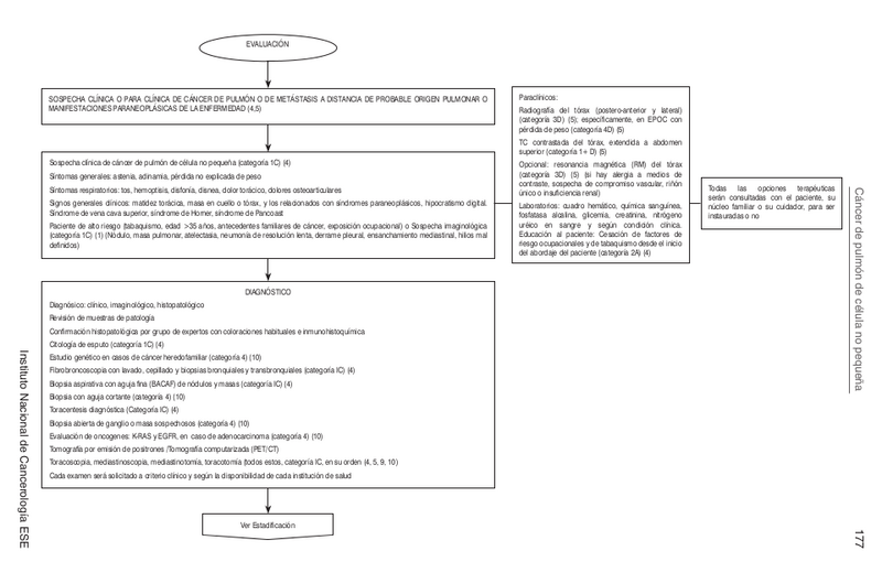 Archivo:Algoritmo P.png