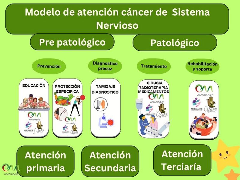 Archivo:Ca S Nervioso.jpg